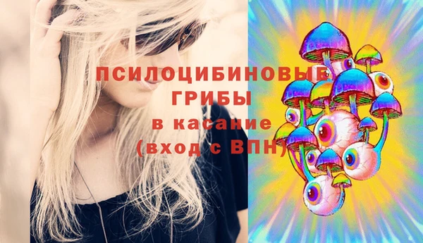 крисы Алзамай