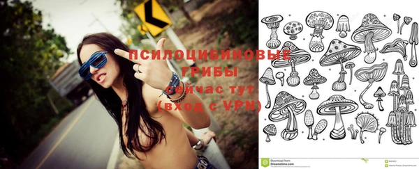 скорость Алексин