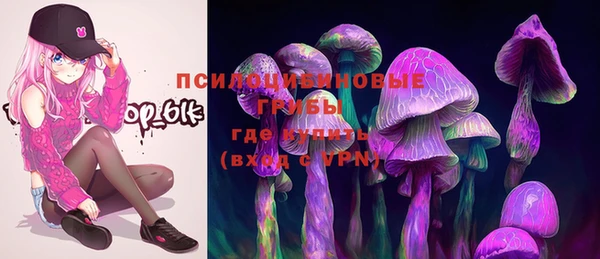 крисы Алзамай