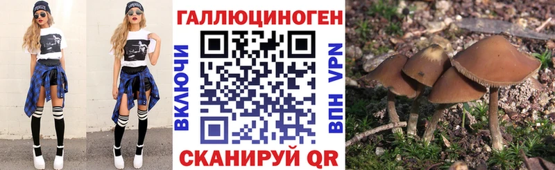 Галлюциногенные грибы прущие грибы  хочу наркоту  Байкальск 